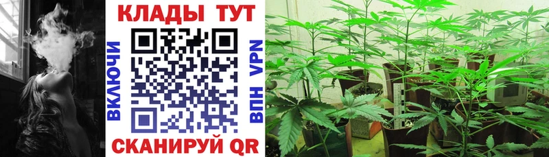 Где можно купить наркотики Тавда Cocaine  APVP  Гашиш  Меф мяу мяу 