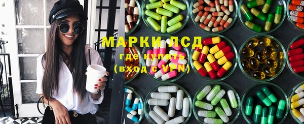 индика Приозерск