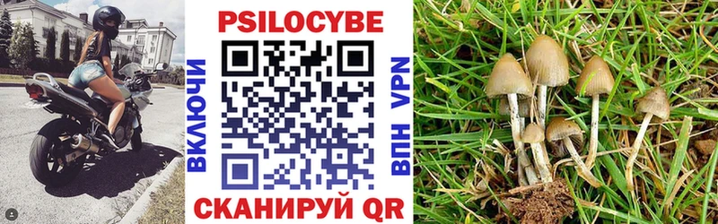 Галлюциногенные грибы Psilocybe  как найти закладки  Тавда 