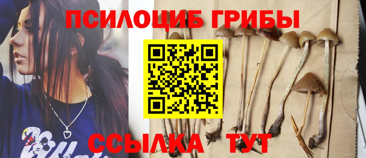 Тавда  Галлюциногенные грибы ЛСД  Вход с VPN 