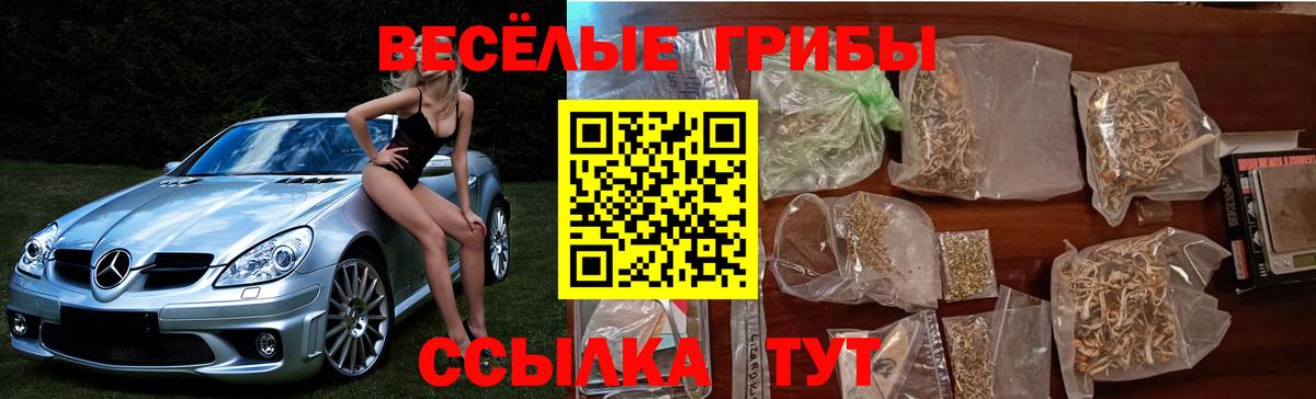 Галлюциногенные грибы прущие грибы Тавда